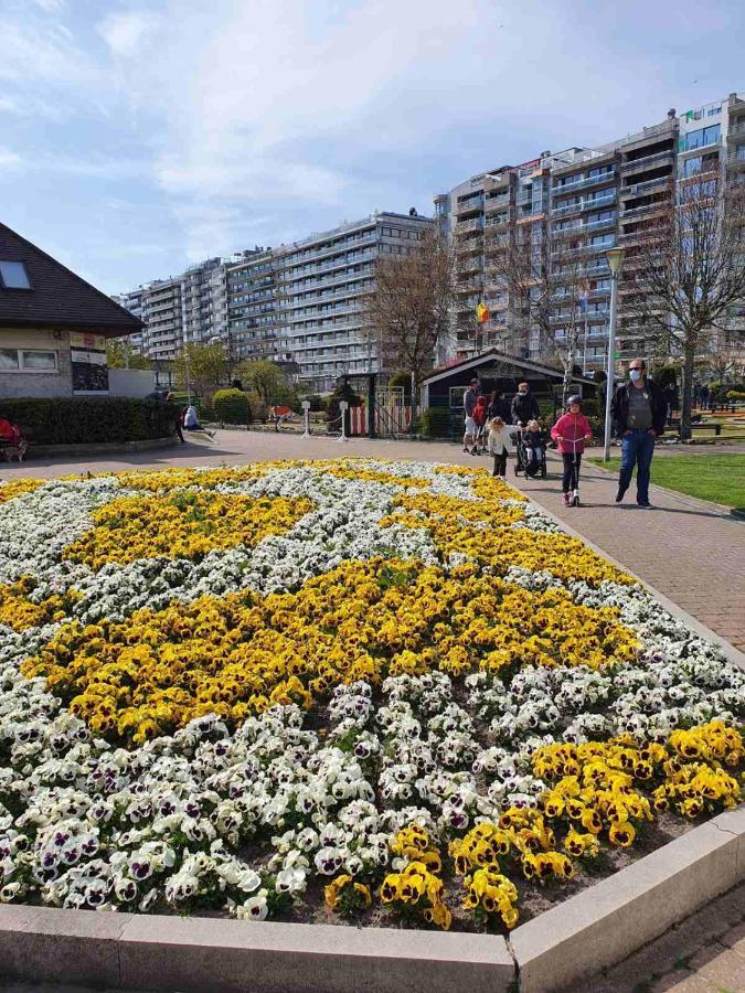 Sun&Fun Apartment Blankenberge Bagian luar foto